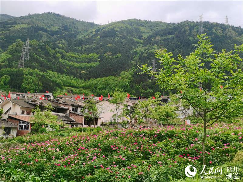 ����Ϫ�巿��������չ�������� ��������