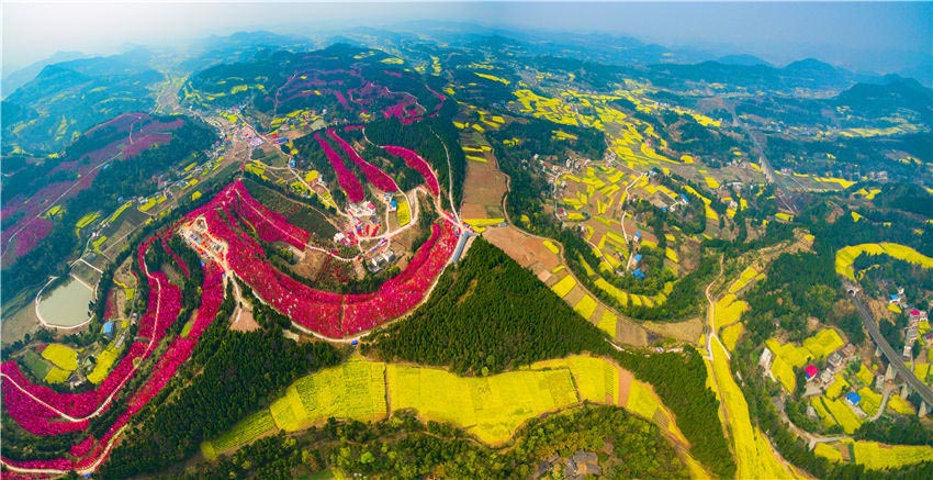 太安桃花谷。中江縣委宣傳部供圖