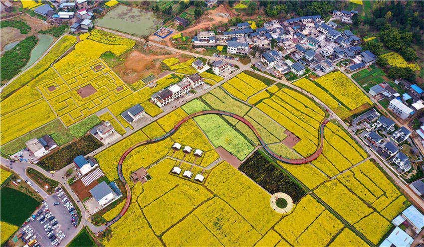 中國挂面村。中江縣委宣傳部供圖