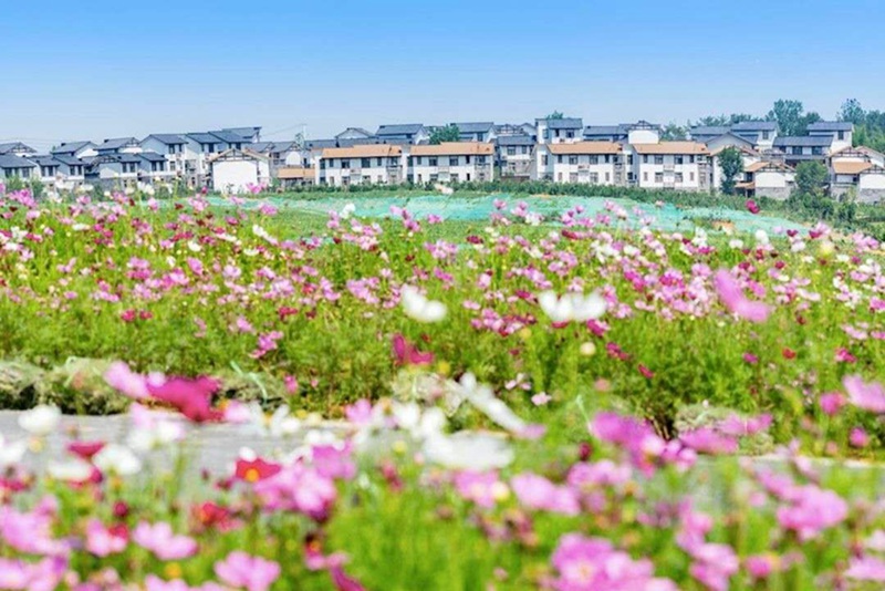 �������ƻ�������ͼ