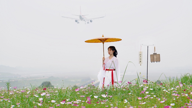 ���ŹŴ����ε������ο�������򿨡��ƻ�������ͼ