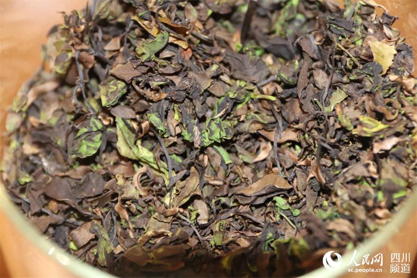 �ײ蹤�������Ļƻ���Ҷ�衣������