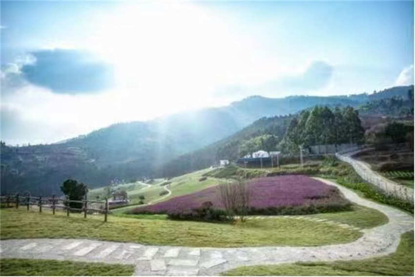 �Լ���һ����������ί��������ͼ