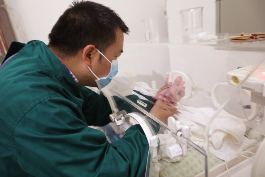 熊貓中心專家為新生幼崽做檢查。中國大熊貓保護研究中心供圖