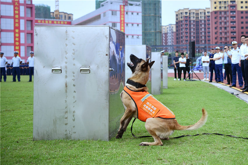 搜救犬訓導員競賽項目。四川消防救援總隊供圖