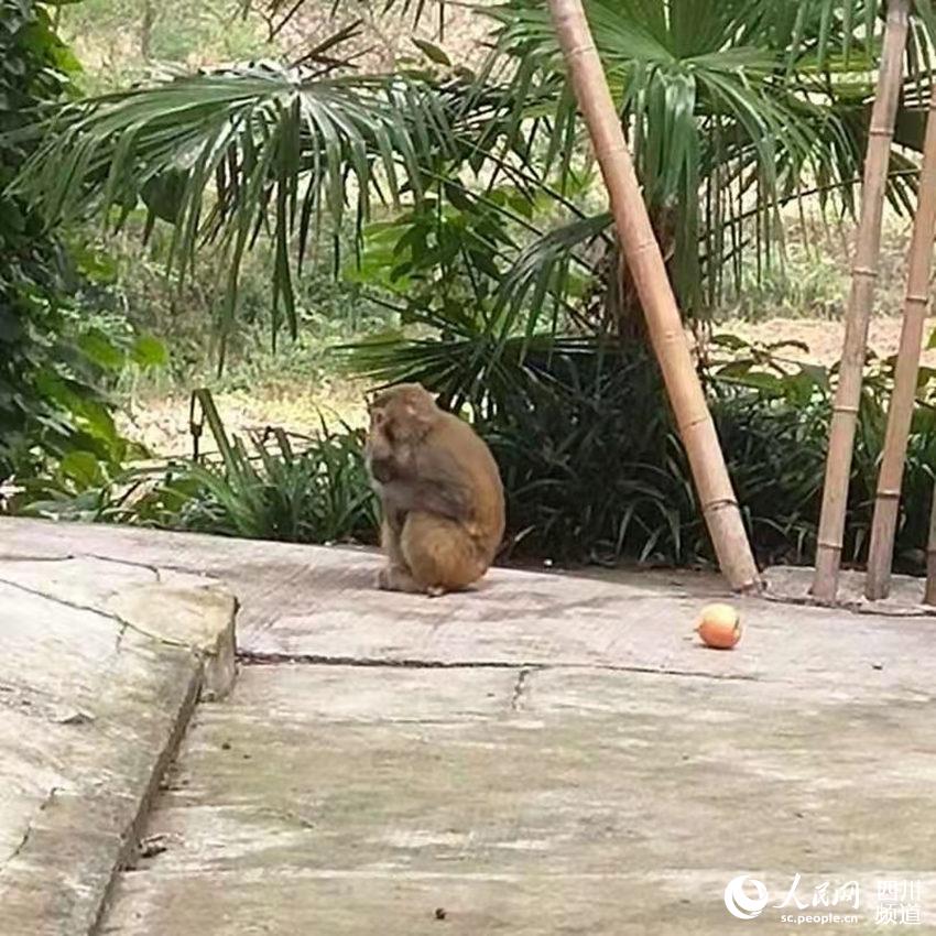 С⨺�������