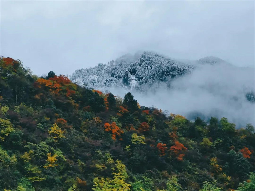 西岭雪山降下成都今年第一场雪