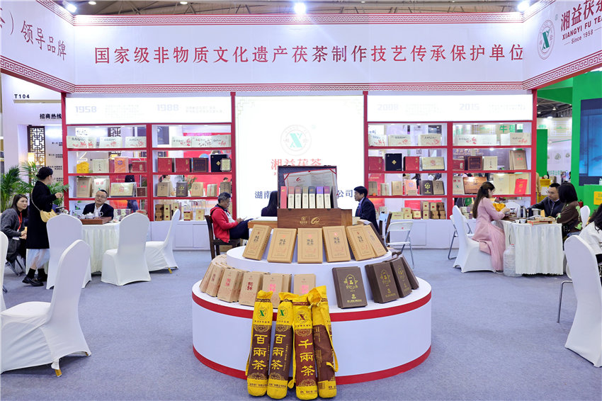 展区现场。活动主办方供图