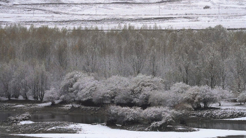 甘孜县下雪美景。甘孜县融媒体中心供图