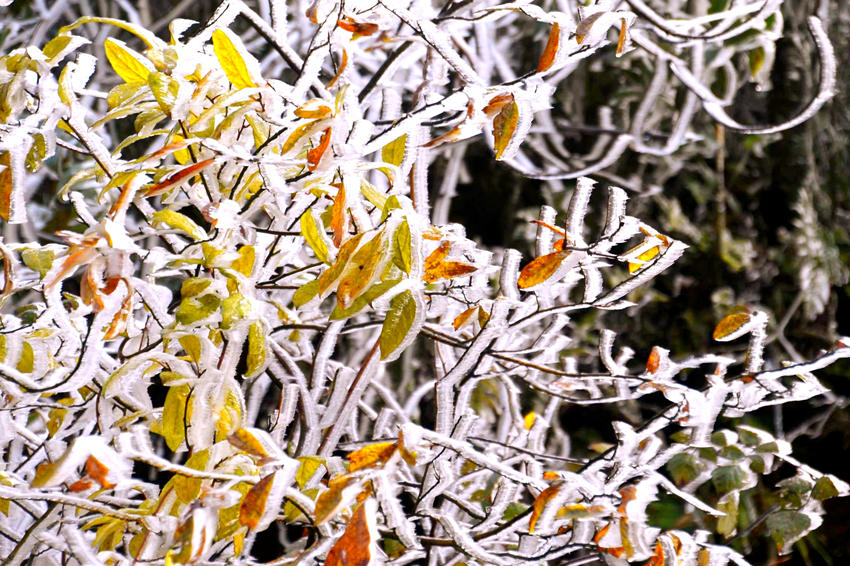 ��ڡ���󡣹�������ý�����Ĺ�ͼ