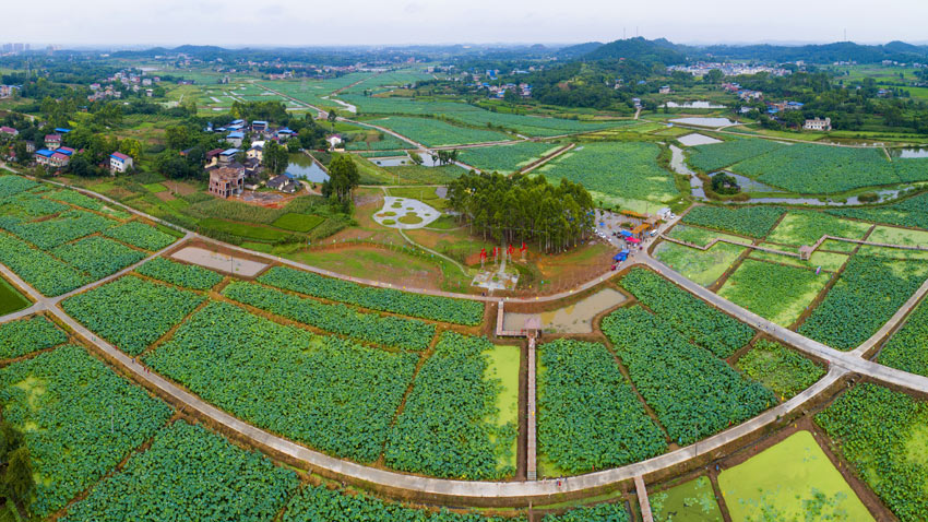 南華鎮南山村荷韻·南山景區。中江縣委宣傳部供圖