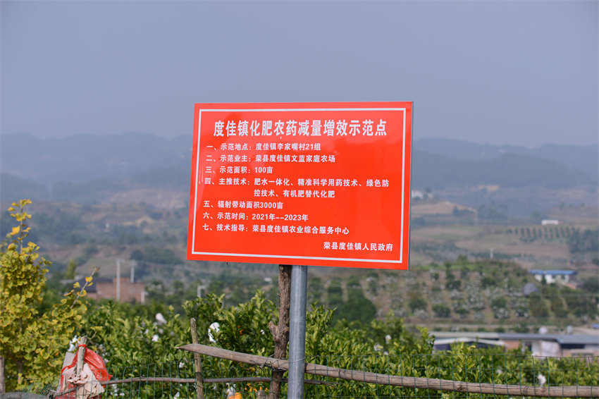 示范片。榮縣融媒體中心供圖