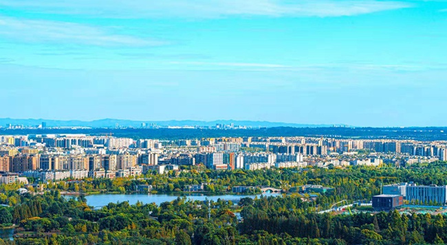 ��2021�й�����Ҹ��г��а��У�˫���ٴΰ�������������Ϊ��2021�й�����Ҹ��г���(����)����˫����ί��������ͼ