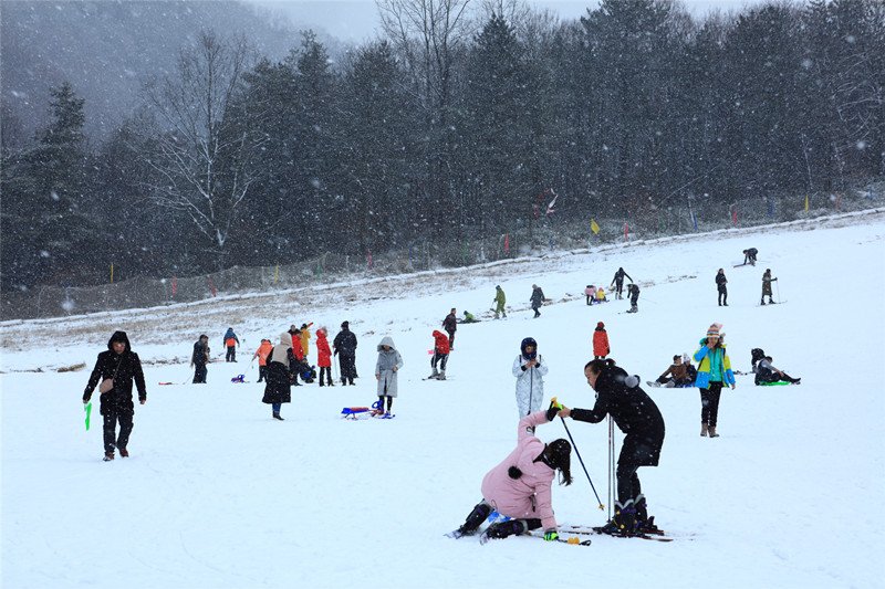 光霧山冰雪節。巴中市委宣傳部供圖