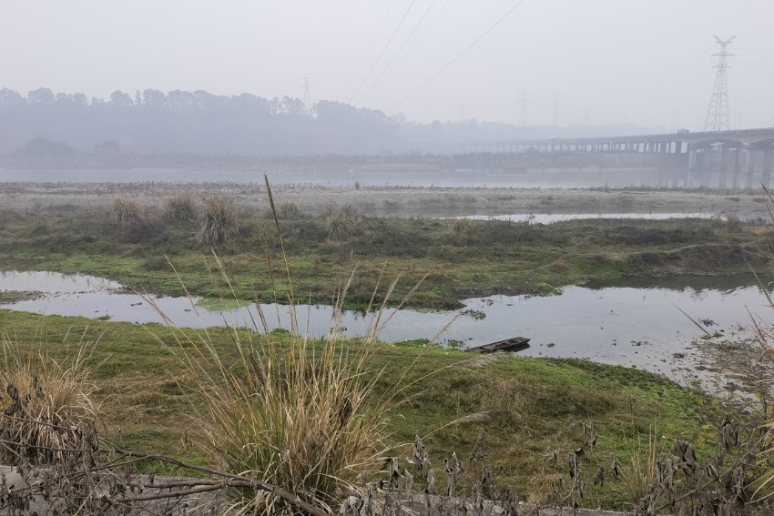 成都平原越冬水鳥調查的河流。成都觀鳥會供圖