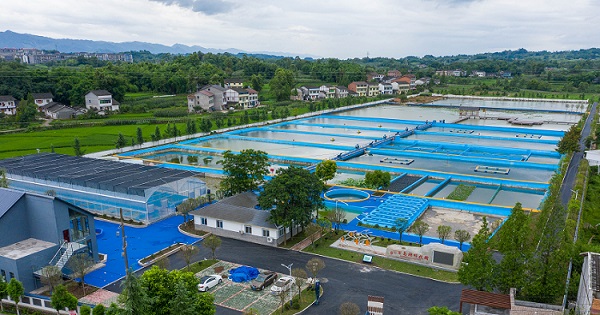 大竹縣烏木鎮特色水產養殖基地。大竹縣委宣傳部供圖