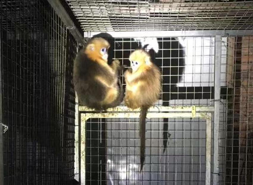 �������Ĵ���˿��Ű�������ͼ