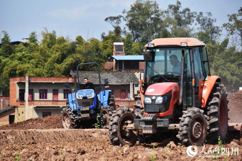 农机员驾驶旋耕机整理土地。黄正华摄