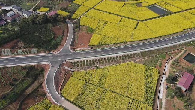 “趙家—三溪—隆盛”公路建設工程。金堂縣融媒體中心供圖