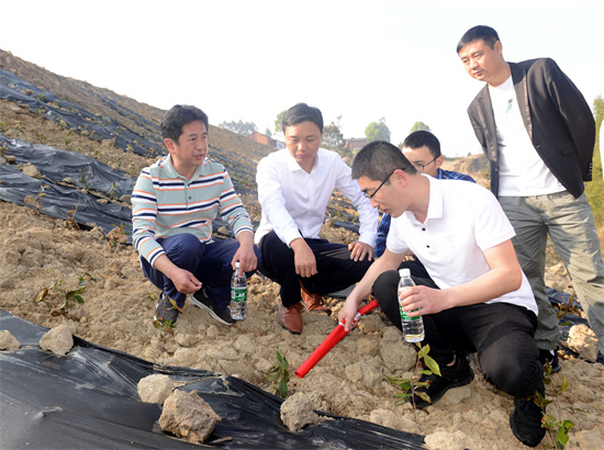 荣县农民工服务中心开展茶叶种植采摘技术培训。胡未供图