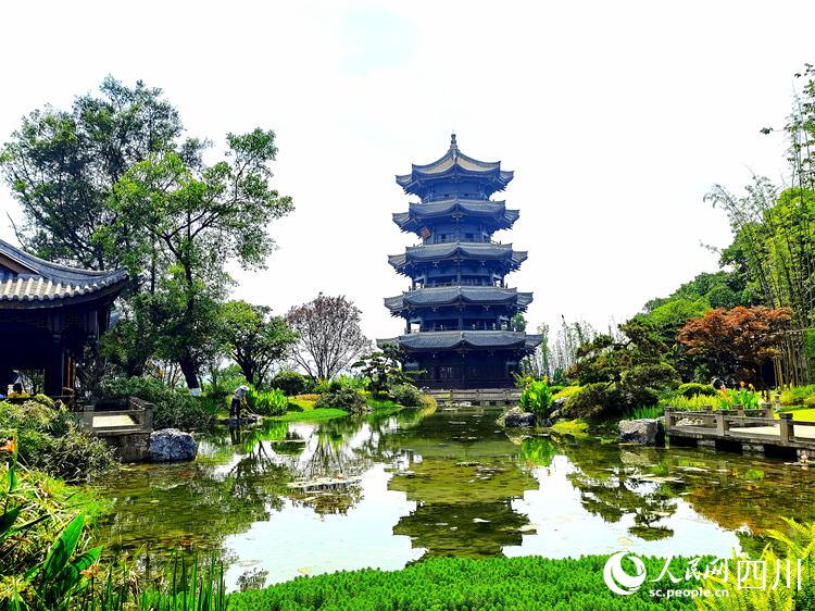 五粮液生态园区一角。戚源摄