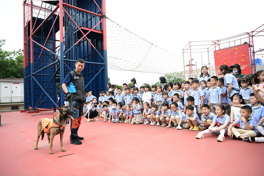 小朋友們與消防搜救犬進行互動。四川省消防救援總隊供圖