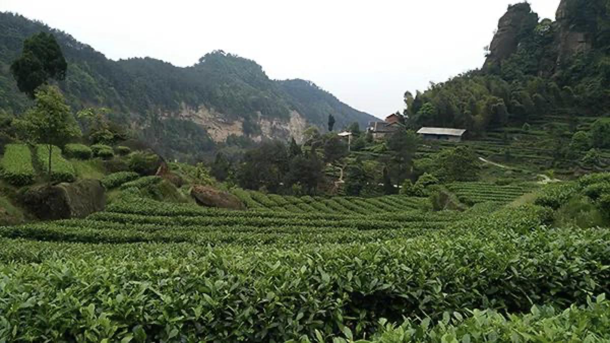 石笋沟景区。刘瑞供图