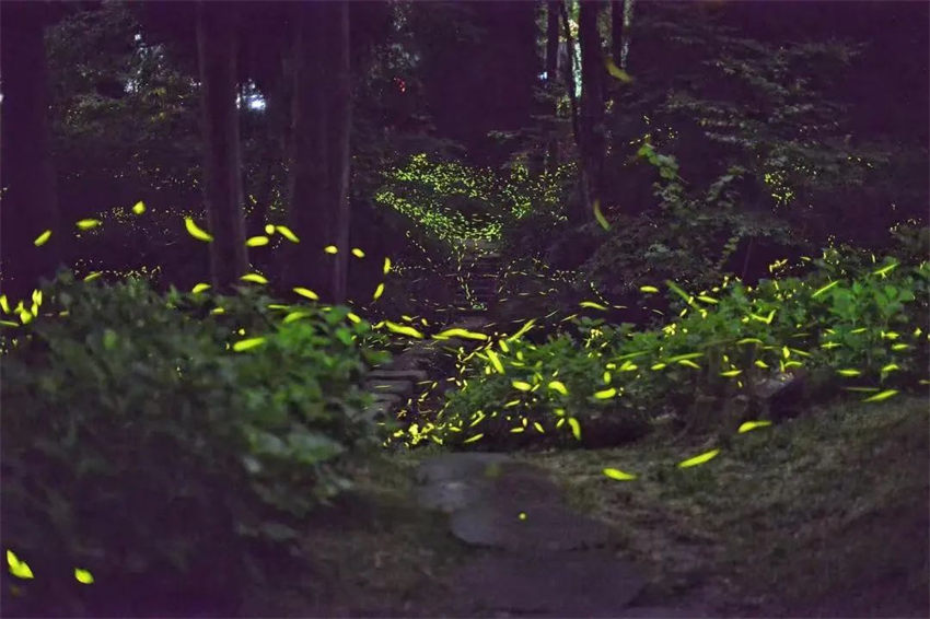 ө�����ͻ��ء���������ͼ