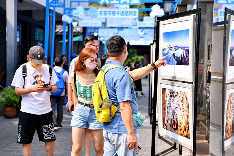 游客欣賞美景照片。青羊區融媒體中心供圖