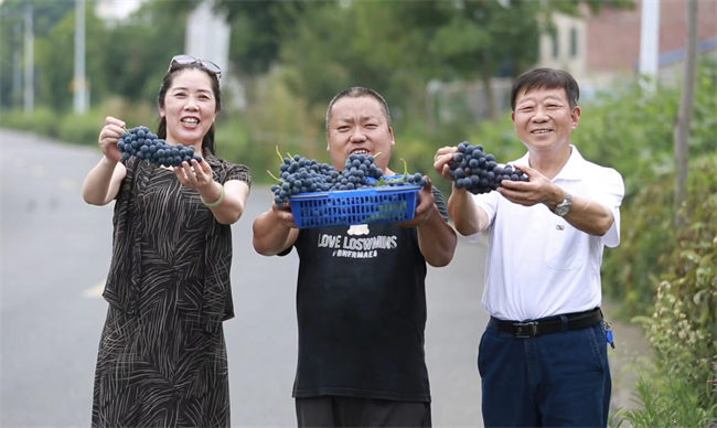 青白江區老科協的專家們。青白江融媒供圖