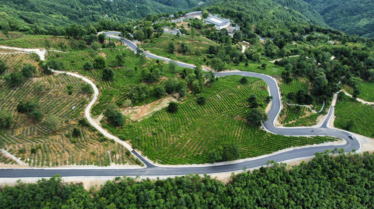 四通八达的乡村道路。青川县融媒体中心供图