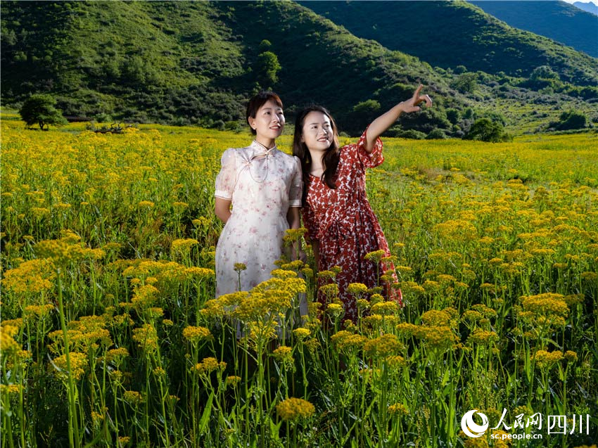 笑谈指点古今事。周万龙摄