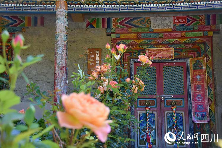 羊茸村特色藏寨变美丽民宿。王曦摄