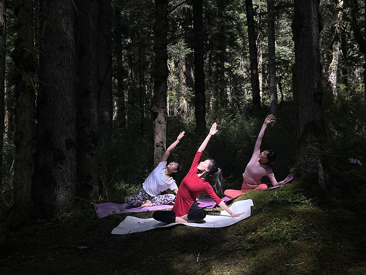 游客在原始森林中练瑜伽。九管局供图