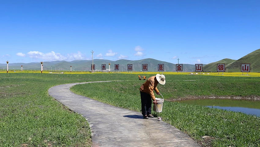 和平村修复点生态管护员。成都市金牛生态环境局供图
