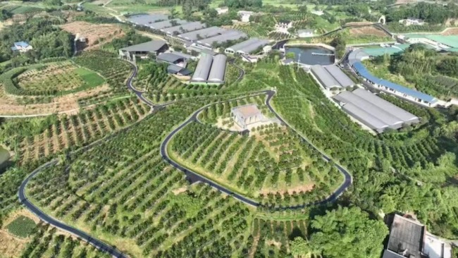舞雩鎮熊馬村“兔公館”實景。犍為縣融媒體中心供圖