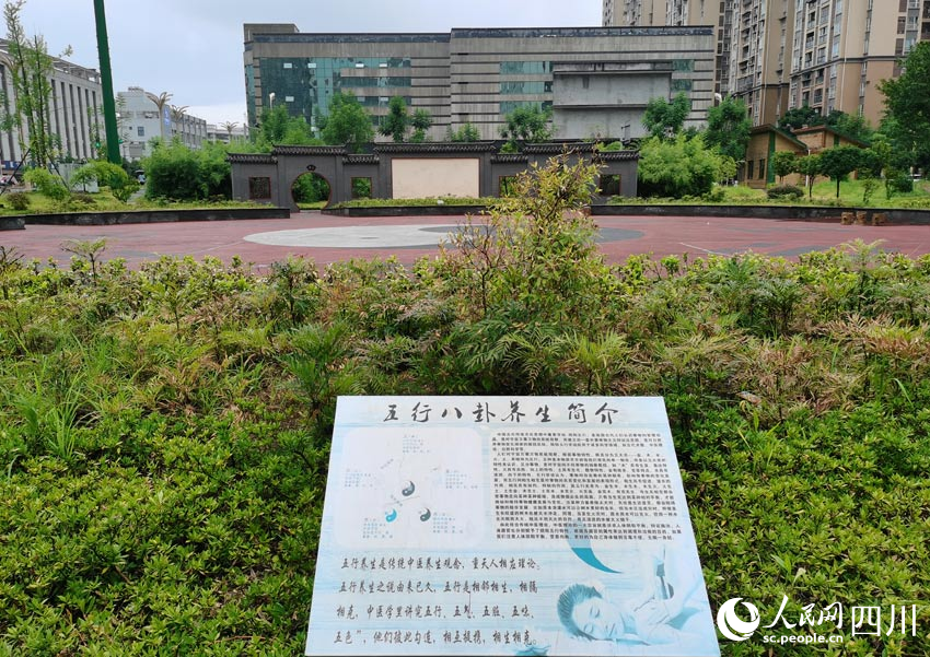 长宁县中医医院中药材种植园及太极健身广场。人民网 刘海天摄
