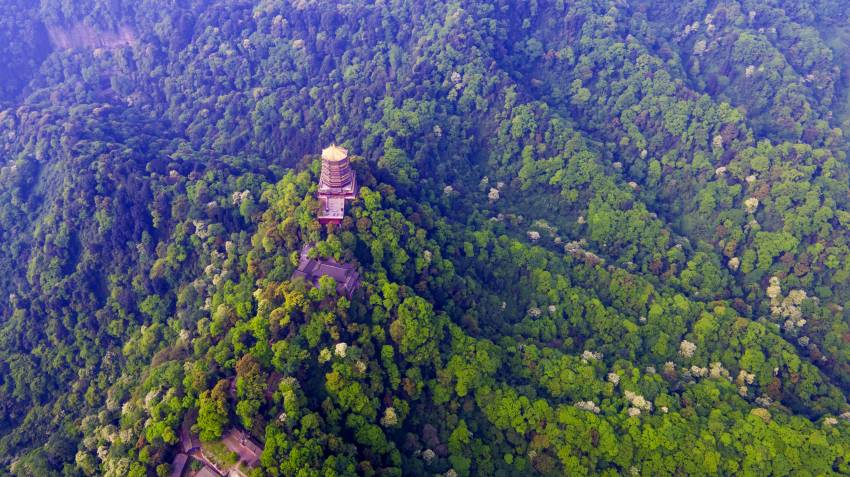 青城山景区。都江堰市委宣传部供图