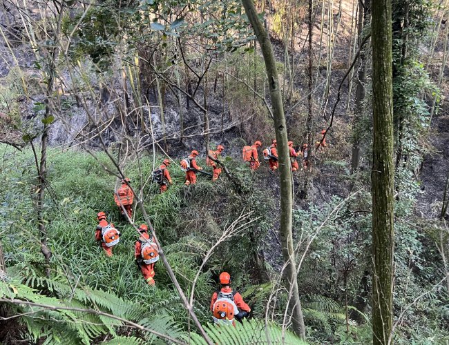 灭火现场。四川省森林消防总队供图