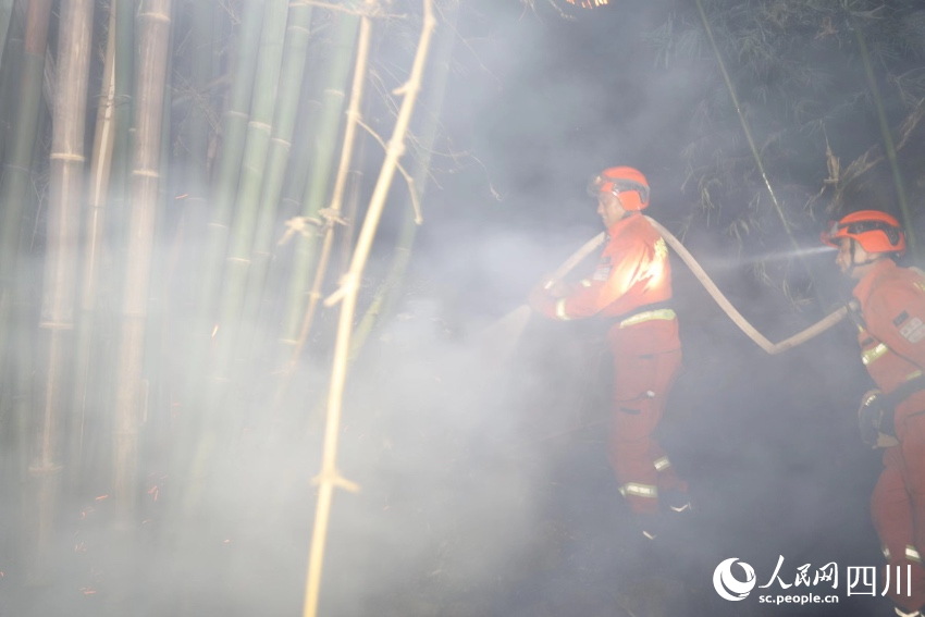 8月23日，四川省泸州市合江县森林火灾现场，消防救援人员正在处理烟点。李从林摄