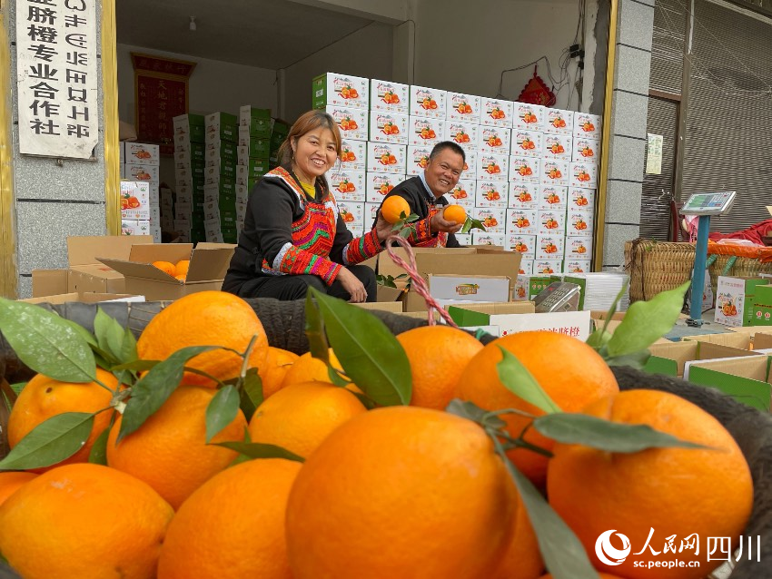 雷波臍橙是國家地理標志產品，鮮甜可口，風味濃郁，備受市場青睞。楊琳攝