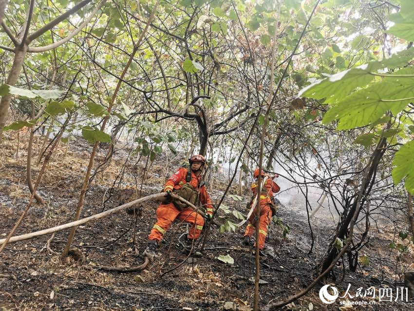 8月28日，在广安市华蓥市高兴镇李子桠村火场，四川省森林消防总队特勤大队正在扑打火线。程雪力摄