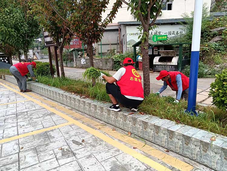党员志愿者在清除杂草。朝天区融媒体中心供图