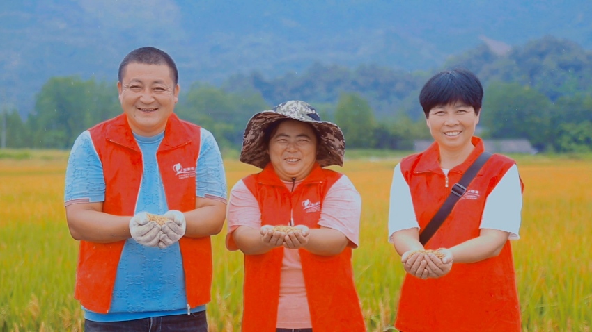 稻谷飄香話豐收。洪雅縣委宣傳部供圖