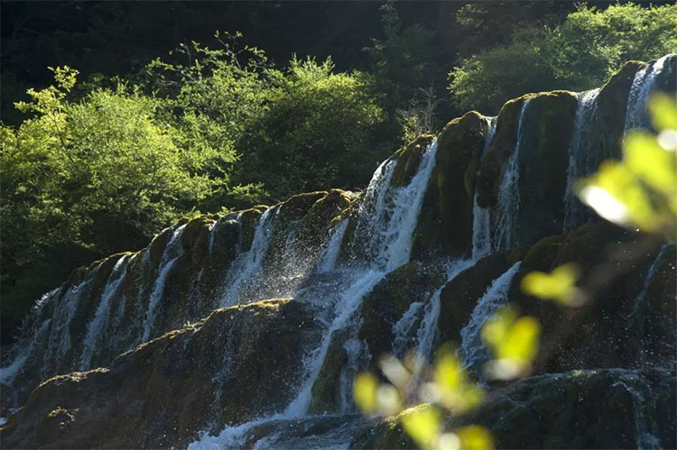 黄龙飞瀑。黄龙景区管理局供图
