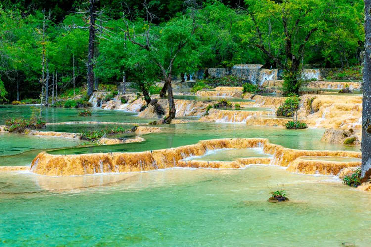 盆景池。黄龙景区管理局供图
