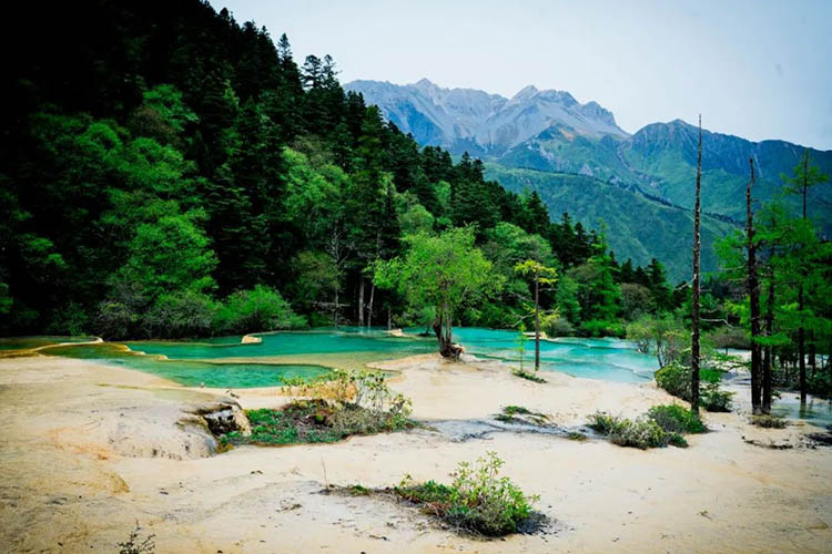 争艳池。黄龙景区管理局供图
