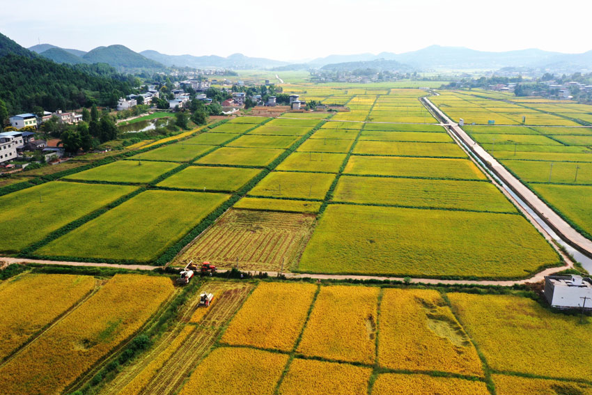 千亩良田似画墙。中江县委宣传部供图