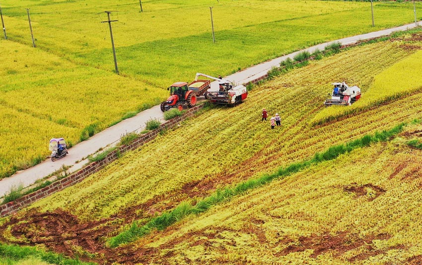 华夏繁荣做栋梁。中江县委宣传部供图