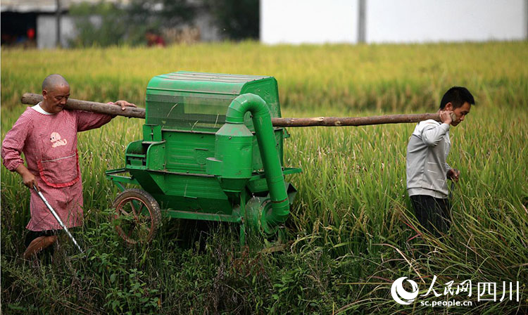 村民搬运收割稻谷机器。李自公摄